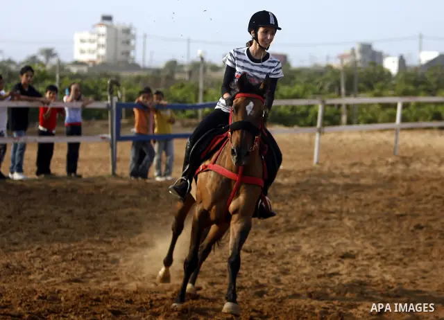 A Palestinian rides a horse during the "Jump Championship" race in Gaza City July 8, 2011. Photo by Ali Jadallah