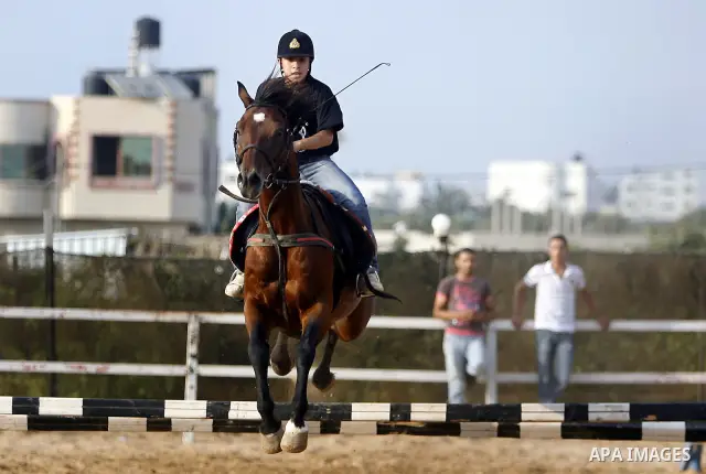 A Palestinian rides a horse during the "Jump Championship" race in Gaza City July 8, 2011. Photo by Ali Jadallah