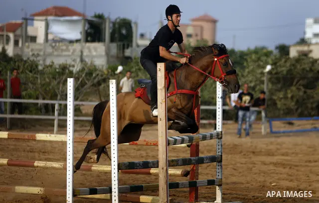 A Palestinian rides a horse during the "Jump Championship" race in Gaza City July 8, 2011. Photo by Ali Jadallah