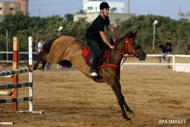 A Palestinian rides a horse during the "Jump Championship" race in Gaza City July 8, 2011. Photo by Ali Jadallah