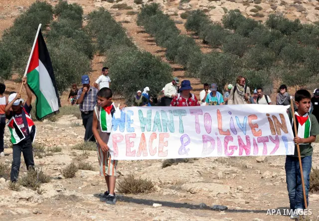 Palestinian, foreign and Israeli protesters hold poster as Israeli troops fire tear gas to disperse the protesters during a demonstration against the demolishing of farm land to be used in the construction of Jewish sett...