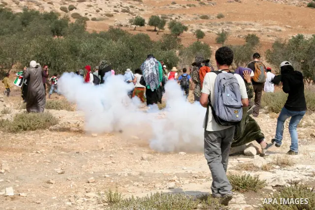 Palestinian, foreign and Israeli protesters run for cover as Israeli troops fire tear gas to disperse the protesters during a demonstration against the demolishing of farm land to be used in the construction of Jewish se...