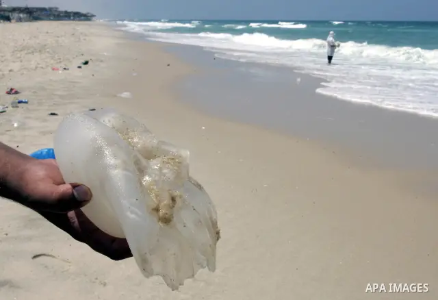 A Palestinian man holds jellyfish at Rafah beach in the southern Gaza Strip on July 19, 2011. Israeli naval commandos on Tuesday seized control of a French ship attempting to break Israel's blockade of the Gaza Strip, re...
