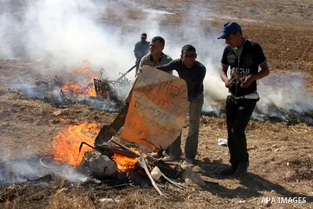 Israeli soldiers stand guard (not seen) as Palestinian farmers work at their land after returned to them by the Jewish settlers next to the Israeli settlement of Sosia, near the West Bank city of Hebron on July 23, 2011....
