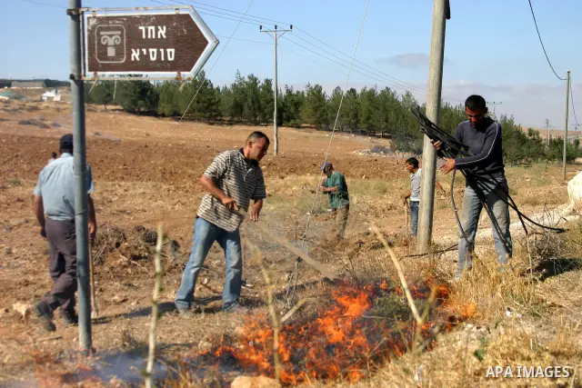 Israeli soldiers stand guard (not seen) as Palestinian farmers work at their land after returned to them by the Jewish settlers next to the Israeli settlement of Sosia, near the West Bank city of Hebron on July 23, 2011....