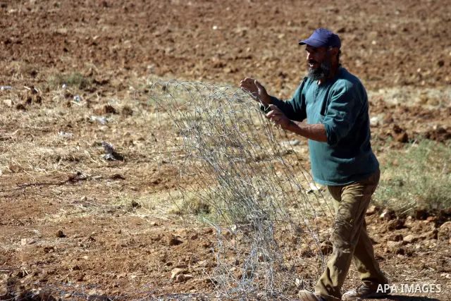 Israeli soldiers stand guard (not seen) as Palestinian farmers work at their land after returned to them by the Jewish settlers next to the Israeli settlement of Sosia, near the West Bank city of Hebron on July 23, 2011....