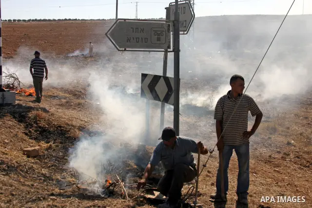 Israeli soldiers stand guard (not seen) as Palestinian farmers work at their land after returned to them by the Jewish settlers next to the Israeli settlement of Sosia, near the West Bank city of Hebron on July 23, 2011....