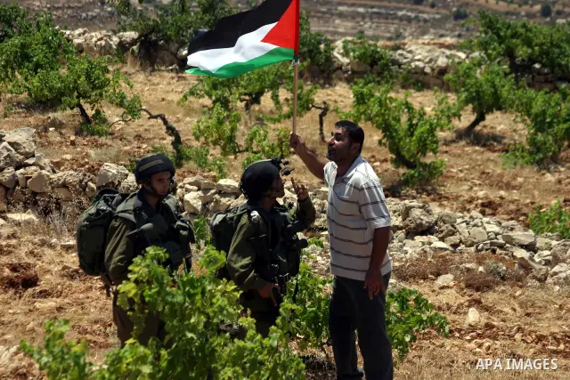 A protester argues with Israeli soldiers during a demonstration against Israel's controversial separation barrier in the West Bank village of Beit Omar, near Hebron, 23 July 2011. Israel says the network of steel and con...