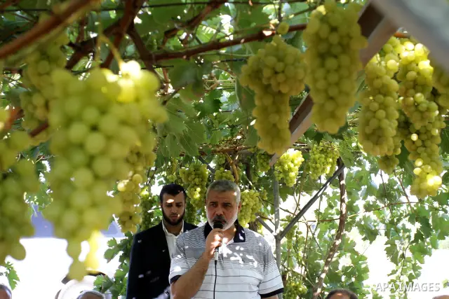 Palestinian Prime Minister in Gaza Strip, Ismail Haniya delivers speech during the opening of agricultural projects in Gaza City on July 28, 2011 Photo by Mohammed Asad
