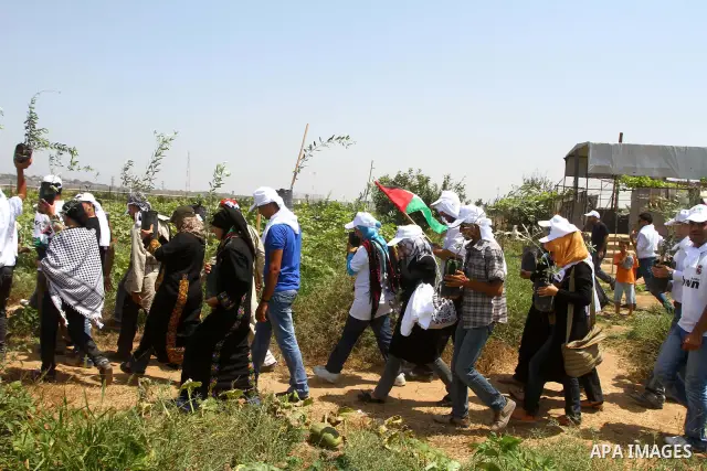 Palestinian protesters wave national flags during a demonstration on July 30, 2011 on the outskirts of Gaza City against the military zone Israel created on Palestinian land, east of the city, as a buffer between its bor...