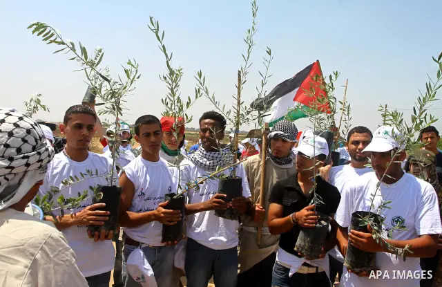Palestinian protesters wave national flags during a demonstration on July 30, 2011 on the outskirts of Gaza City against the military zone Israel created on Palestinian land, east of the city, as a buffer between its bor...
