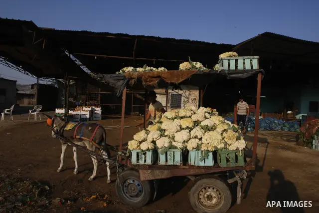 A Palestinian vendor sells vegetables at a wholesale market in Gaza city on Aug. 6, 2011. Muslims around the world abstain from eating, drinking and conducting sexual relations from sunrise to sunset during Ramadan, the...