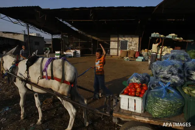 A Palestinian vendor sells vegetables at a wholesale market in Gaza city on Aug. 6, 2011. Muslims around the world abstain from eating, drinking and conducting sexual relations from sunrise to sunset during Ramadan, the...