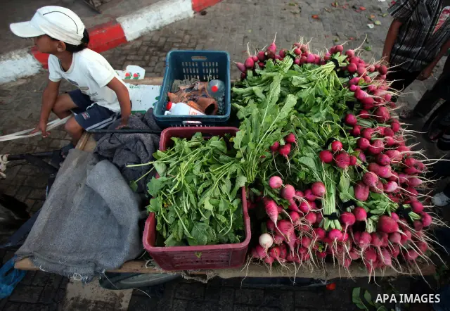 Palestinians shop for food at a market in Gaza city, August 7, 2011. Muslims around the world abstain from eating, drinking and conducting sexual relations from sunrise to sunset during Ramadan, the holiest month in the...