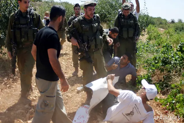 Israeli soldiers scuffle with Palestinian, Israeli and foreign activists during a demonstration against the cof farm land to be used in the construction of Jewish settlements near the existing Israeli settlement of Karmi...