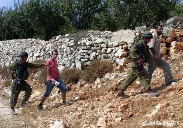 Israeli soldiers detain protesters during a demonstration by locals, left-wing Israelis, foreigner peace activists in Beit Omar, near the West Bank city of Hebron on August 20, 2011 against the latest Israeli air strikes...
