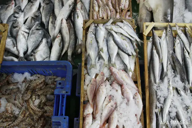IIn this photo taken on May 5, 2011: Fresh fish at the Moneer abu Hassira restaurant in Gaza city, ordinary people and politicians alike are served top-class seafood at the Moneer abu Hassira restaurant, where their mott...