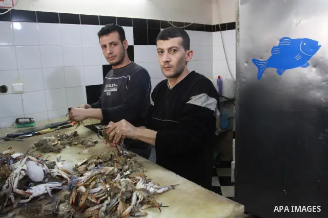 In this photo taken on May 5, 2011: Palestinian assistants Chef prepare fish at the Moneer abu Hassira restaurant in Gaza city, ordinary people and politicians alike are served top-class seafood at the Moneer abu Hassira...