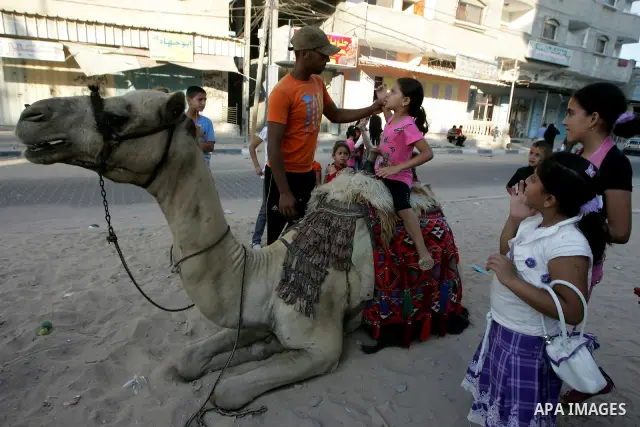 Palestinian children enjoy riding a camel at the second day of the Eid al-Fitr holiday, which marks the end of the holy fasting month of Ramadan in Rafah in the southern Gaza Strip on August 31 2011. Photo by Abed Rahim...