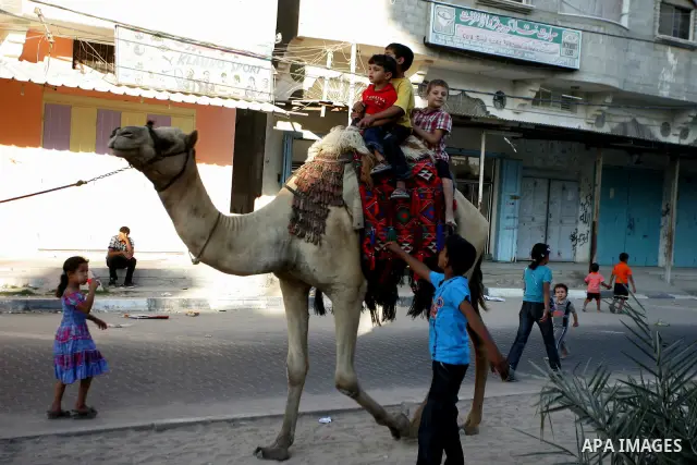 Palestinian children enjoy riding a camel at the second day of the Eid al-Fitr holiday, which marks the end of the holy fasting month of Ramadan in Rafah in the southern Gaza Strip on August 31 2011. Photo by Abed Rahim...