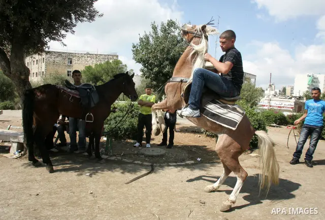 Palestinian boys ride Horses in Jerusalem's Old City, as Muslims celebrated the Eid al-Fitr holiday which marks the end of the holy fasting month of Ramadan outdoors on 1 Sep. 2011. Photo by Mahfouz Abu Turk
