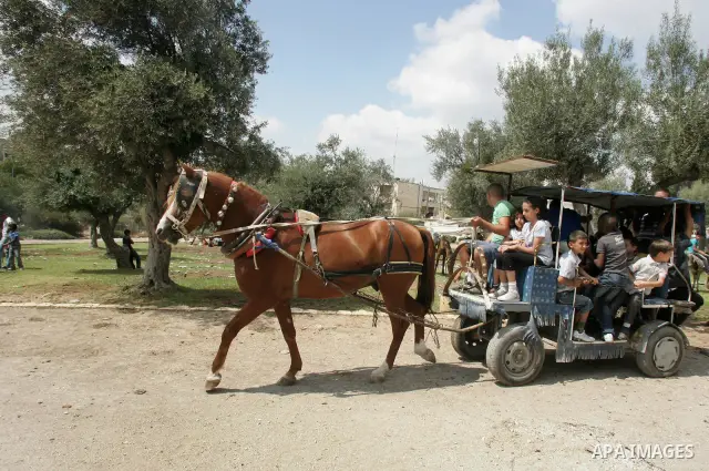 Palestinian boys ride Horses in Jerusalem's Old City, as Muslims celebrated the Eid al-Fitr holiday which marks the end of the holy fasting month of Ramadan outdoors on 1 Sep. 2011. Photo by Mahfouz Abu Turk