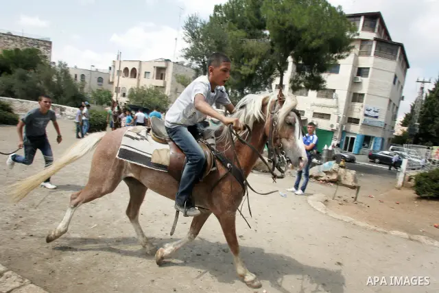 Palestinian boys ride Horses in Jerusalem's Old City, as Muslims celebrated the Eid al-Fitr holiday which marks the end of the holy fasting month of Ramadan outdoors on 1 Sep. 2011. Photo by Mahfouz Abu Turk