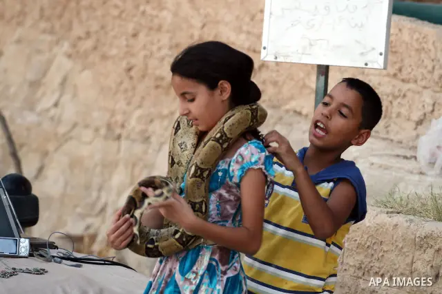 A Palestinian girl holds a pet snake on her shoulders as Muslims celebrated the Eid al-Fitr holiday which marks the end of the holy fasting month of Ramadan in the West Bank city of Jericho on September 1, 2011. Photo by...