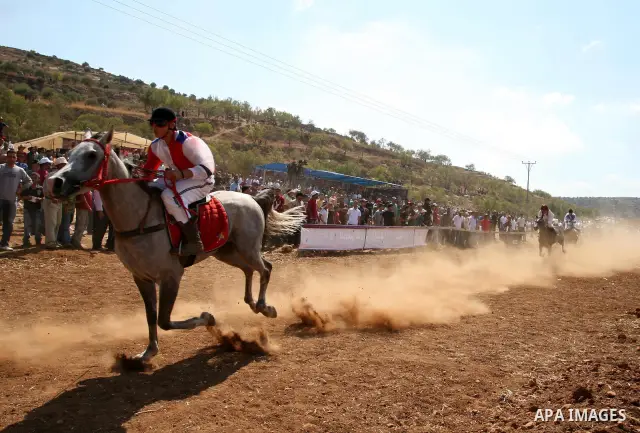 Palestinian jockeys compete during a horse race in the West Bank village of Abu Falah, near the town of Ramallah ,on 02 September 2011. Some 60 horses in different heats participated in races through the day, attracting...