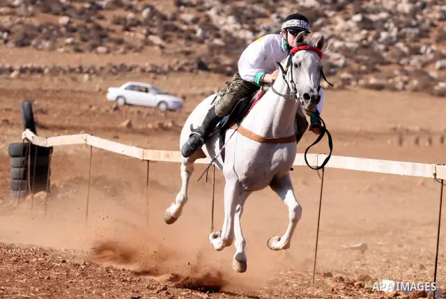A Palestinian jockey competes during a horse race in the West Bank village of Abu Falah, near the town of Ramallah ,on 02 September 2011. Some 60 horses in different heats participated in races through the day, attractin...