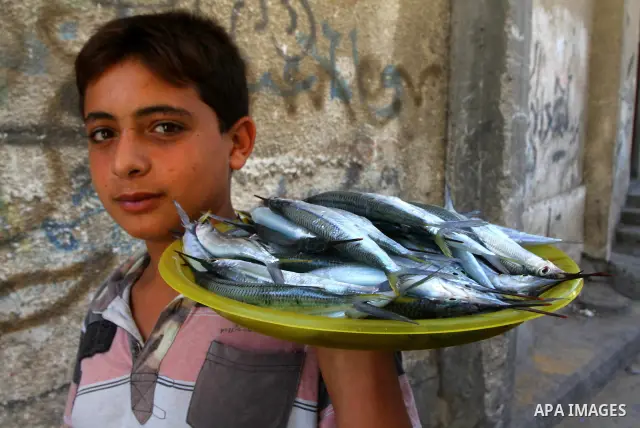 A Palestinian boy sells fish in al-Shate` refugee camp in Gaza City, on Sep. 15, 2011. President Mahmoud Abbas's bid to seek U.N. recognition of a Palestinian state is not generating much enthusiasm in the isolated Gaza...