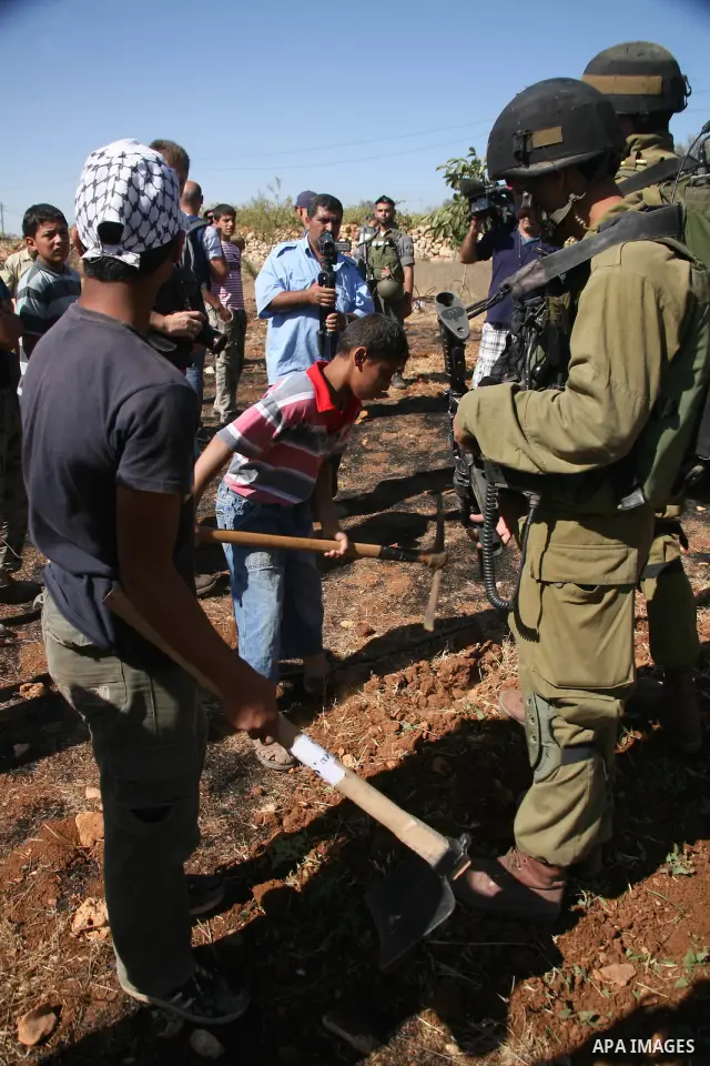 Israeli soldiers stand by as Palestinian and international activists work on a Palestinian's farm land in the West Bank village of Beit Omar near Hebron, 16 September 2011. The Israeli soldiers eventually dispersed the p...