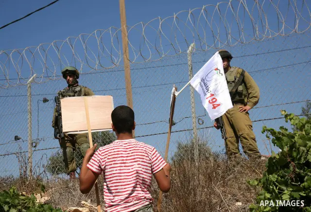 Israeli soldiers stand by as Palestinian and international activists work on a Palestinian's farm land in the West Bank village of Beit Omar near Hebron, 16 September 2011. The Israeli soldiers eventually dispersed the p...
