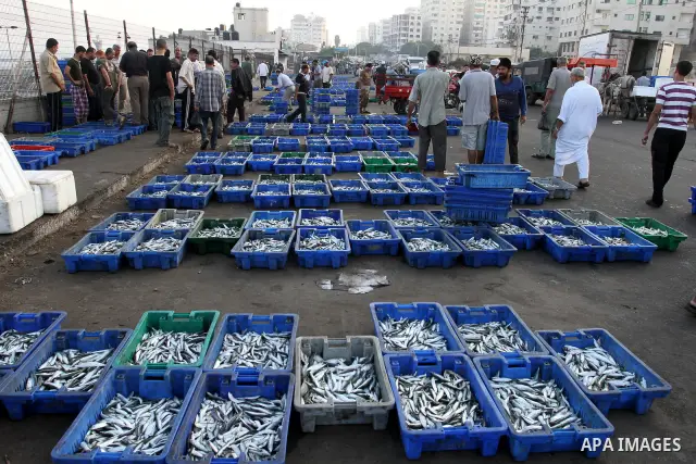 Palestinian fishermen show thier catch in the port of Gaza City on Sep. 22, 2011. Palestinians hoped that the blockade is lifted from the sea, and setting "Palestine state 194", representing their hope to become the 194t...