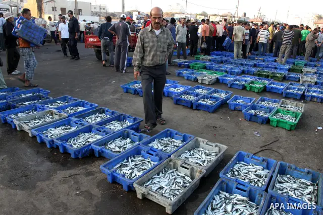 Palestinian fishermen show thier catch in the port of Gaza City on Sep. 22, 2011. Palestinians hoped that the blockade is lifted from the sea, and setting "Palestine state 194", representing their hope to become the 194t...