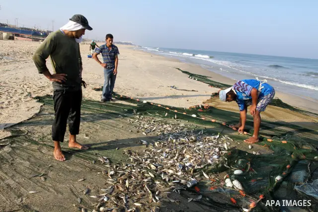Palestinian fishermen show thier catch in the port of Gaza City on Sep. 22, 2011. Palestinians hoped that the blockade is lifted from the sea, and setting "Palestine state 194", representing their hope to become the 194t...
