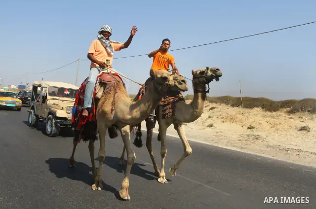 Palestinian men ride their camels at the beach in Gaza City on September 22, 2011. Hundreds of Palestinian took part in demonstrations in support of Palestinian leader Mahmud Abbas' bid for statehood recognition at the U...