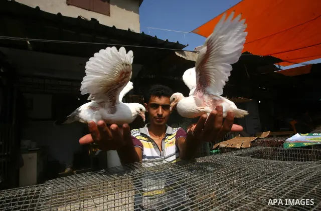 Palestinians during shopping fresh vegetables and goods at a market in Gaza City, on September 23, 2011. Palestinian President Mahmoud Abbas is set to speak later Friday at the U.N., and plans to call on the world body t...