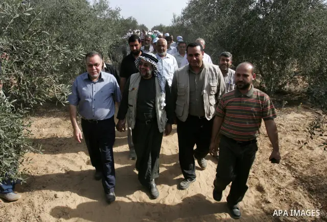 Volunteer delegation from the convoy, "Miles of Smiles 6" in cooperation with the Ministry of Agriculture during pick the number of olive trees in the town of Khuza'a east of Khan Younis, southern Gaza Strip on Oct, 08,...