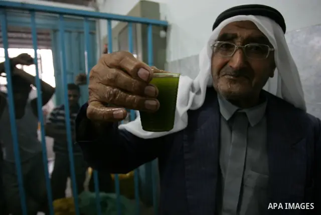 Palestinian men work in an olive oil factory during the olive harvest season , in Khan Yunis in the southern Gaza Strip on October 8, 2011. Palestinians began the annual harvest of olives, a staple for many local farmers...