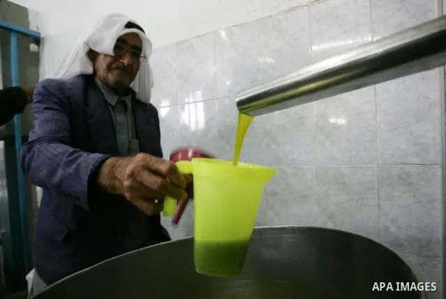 Palestinian men work in an olive oil factory during the olive harvest season , in Khan Yunis in the southern Gaza Strip on October 8, 2011. Palestinians began the annual harvest of olives, a staple for many local farmers...