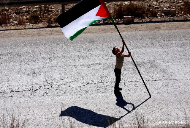 A Palestinian boy waves his national flag during a demonstration against the expansion of the nearby Jewish settlement of Halamish in the West Bank village of Nabi Saleh, near Ramallah, Friday, Oct. 14, 2011. Photo by Is...