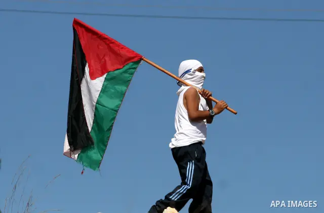 A Palestinian boy waves his national flag during a demonstration against the expansion of the nearby Jewish settlement of Halamish in the West Bank village of Nabi Saleh, near Ramallah, Friday, Oct. 14, 2011. Photo by Is...