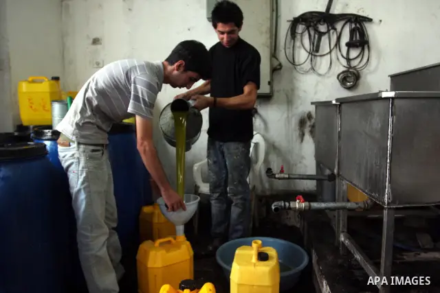 Palestinians producing olive oil in the olive oil factory in the West Bank village of Deir Bezia near the West Bank City of Ramallah on 23 October 2011 during the olive harvesting season. Agriculture is a major sector of...