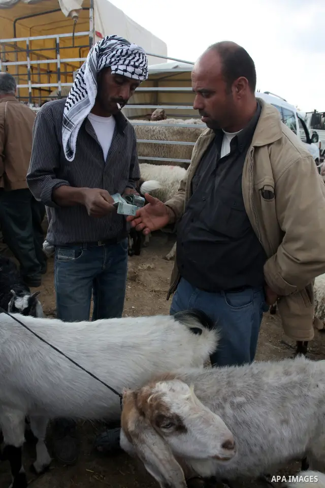 Palestinians gather around goats and sheep for sale at a market in preparation for the upcomming Eid al-Adha festival in the West Bank city of Nablus, Wednesday Nov. 3, 2011. Muslims worldwide are preparing for the Eid a...