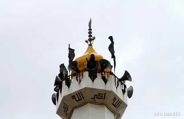 Palestinian Islamic Jihad militants and supporters take part in a rally marking the 16th anniversary of the killing of Fathi al-Shiqaqi, the militant movement's founder, in the northern Gaza Strip November 4, 2011. The m...