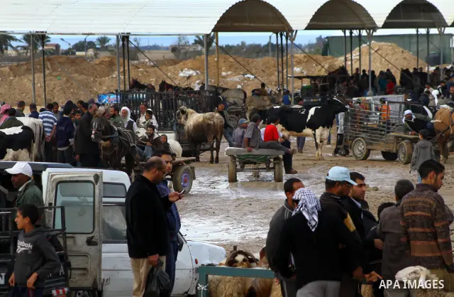 Palestinians sell sheeps at a cattle market ahead of the Eid al-Adha festival, in the central Gaza Strip November 5, 2011. Muslims around the world celebrate Eid-al-Adha, marking the end of the haj, by slaughtering sheep...
