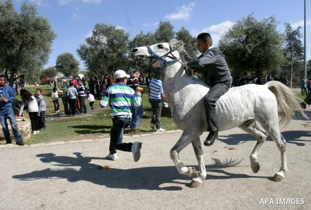 Palestinians enjoy riding horses during the second day of Eid al-Adha in Jerusalem's old city on November 7, 2011. Muslims worldwide commemorate the Eid al-Adha, or the Feast of the Sacrifice, marking the end of the Hajj...