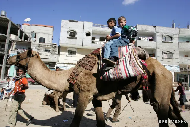 Palestinians enjoy riding during the second day of Eid al-Adha in the southern Gaza Strip town of Rafah on November 7, 2011. Muslims worldwide commemorate the Eid al-Adha, or the Feast of the Sacrifice, marking the end o...