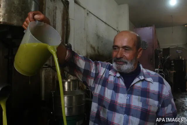 Palestinians producing olive oil in the olive oil factory in Gaza city on Nov. 13,2011 during the olive harvesting season. Agriculture is a major sector of the Palestinian economy, employing a large part Palestinians. Ag...